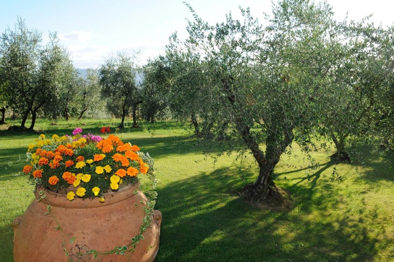 רג'לו Agriturismo Bellosguardo מראה חיצוני תמונה